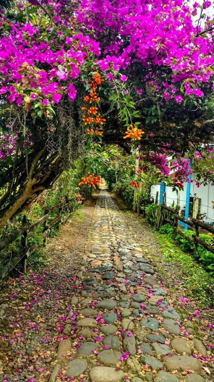 Hotel Dulce Campestre คาร์ดิน ภายนอก รูปภาพ